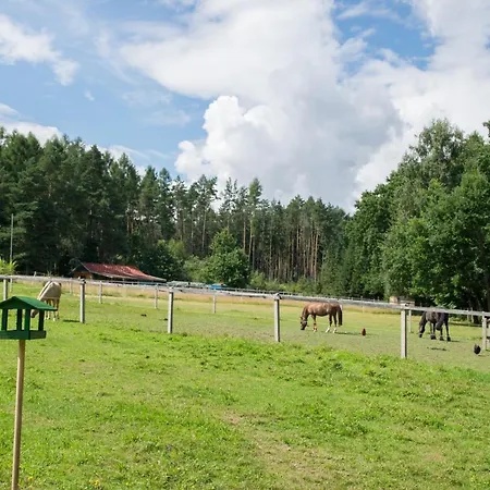 Maringotka Na Ptaci Louce